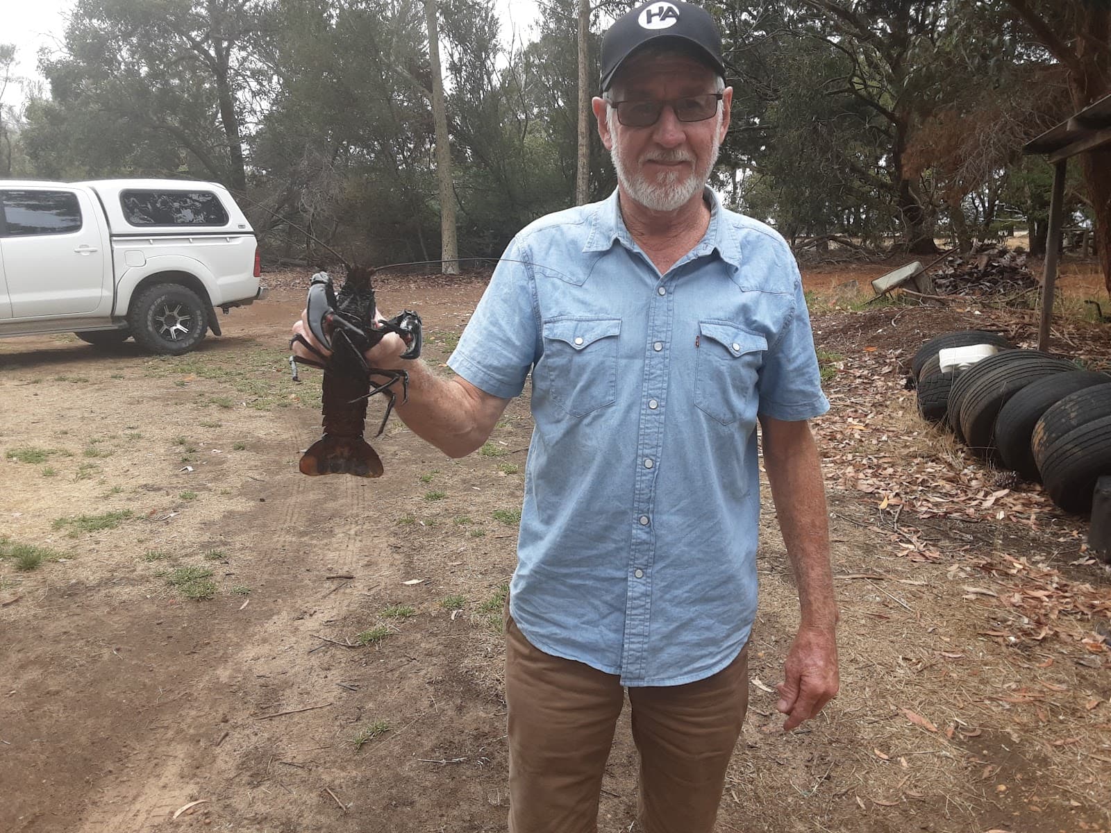 Kangaroo Island Marron - Farm Gate Sales - Live Marron and Yabbies Only in Seddon, SA