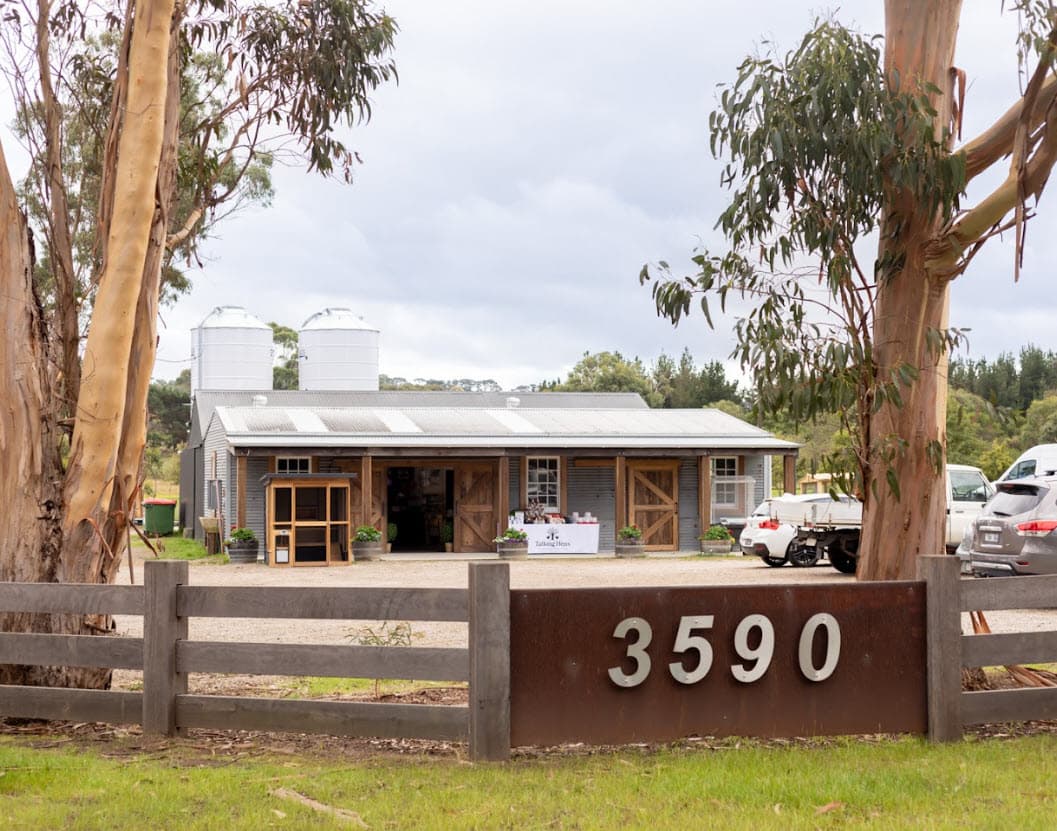 Talking Hens in Merricks, VIC