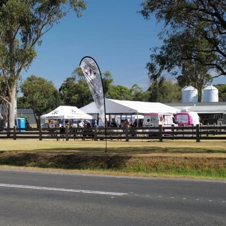 Talking Hens image 2