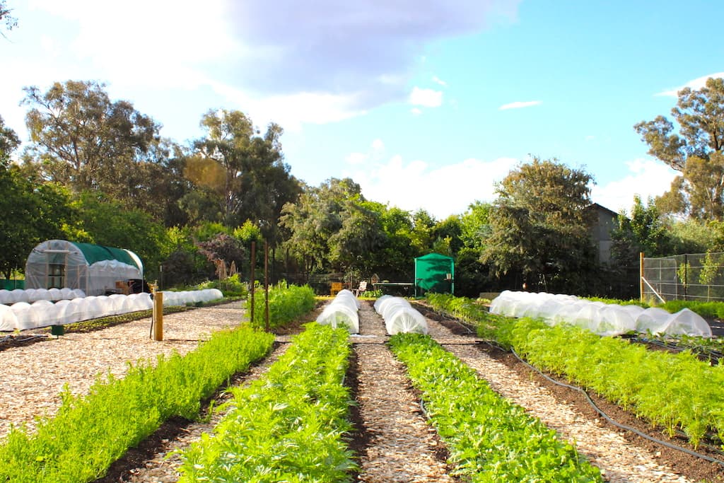Frances Cecil Farm in Killawarra, VIC