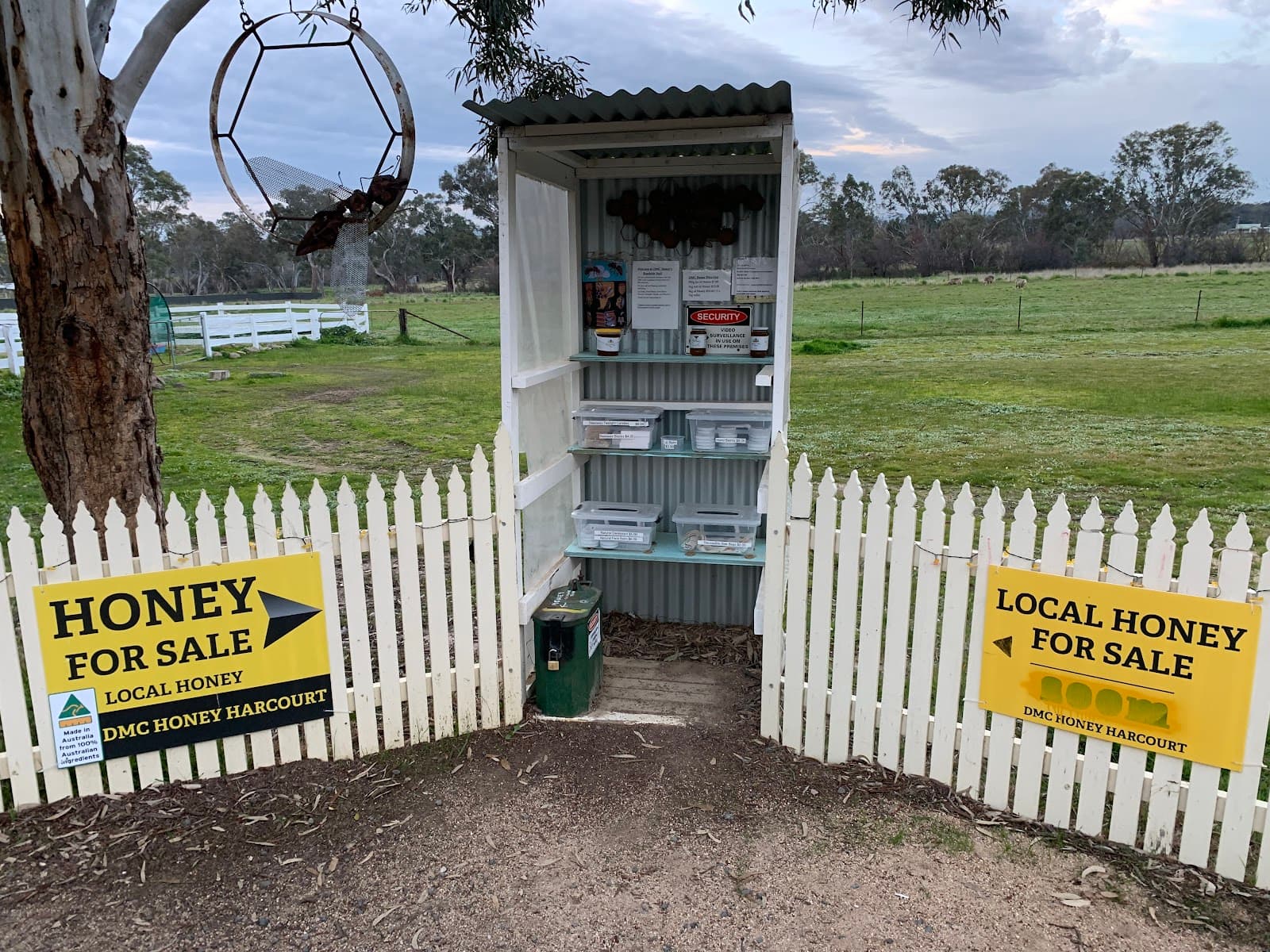 DMC Honey Castlemaine in Harcourt, VIC