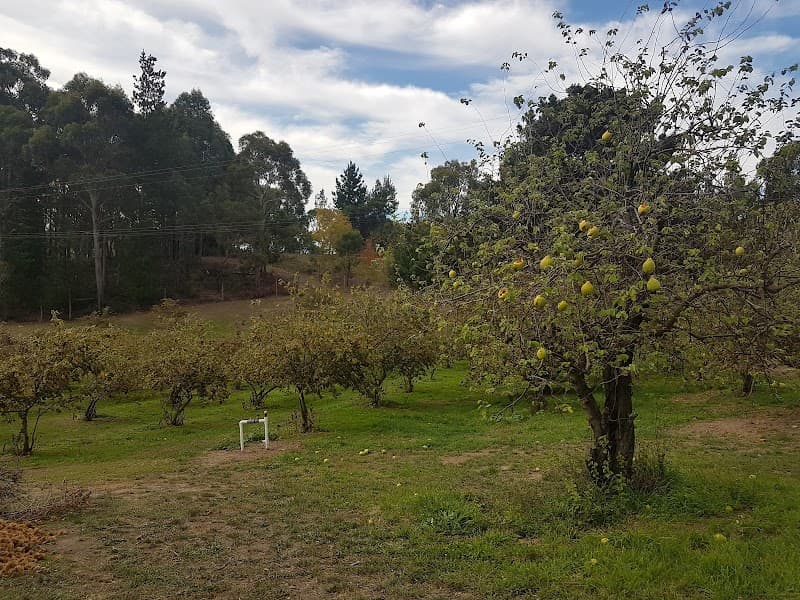 Adelaide Hills Fresh Chestnuts in Forest Range, SA