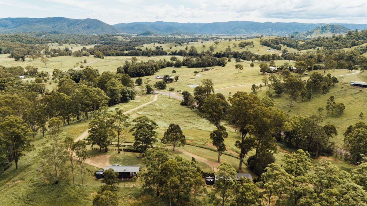 Down at The Dale in 1267 Maleny Kenilworth Rd, QLD