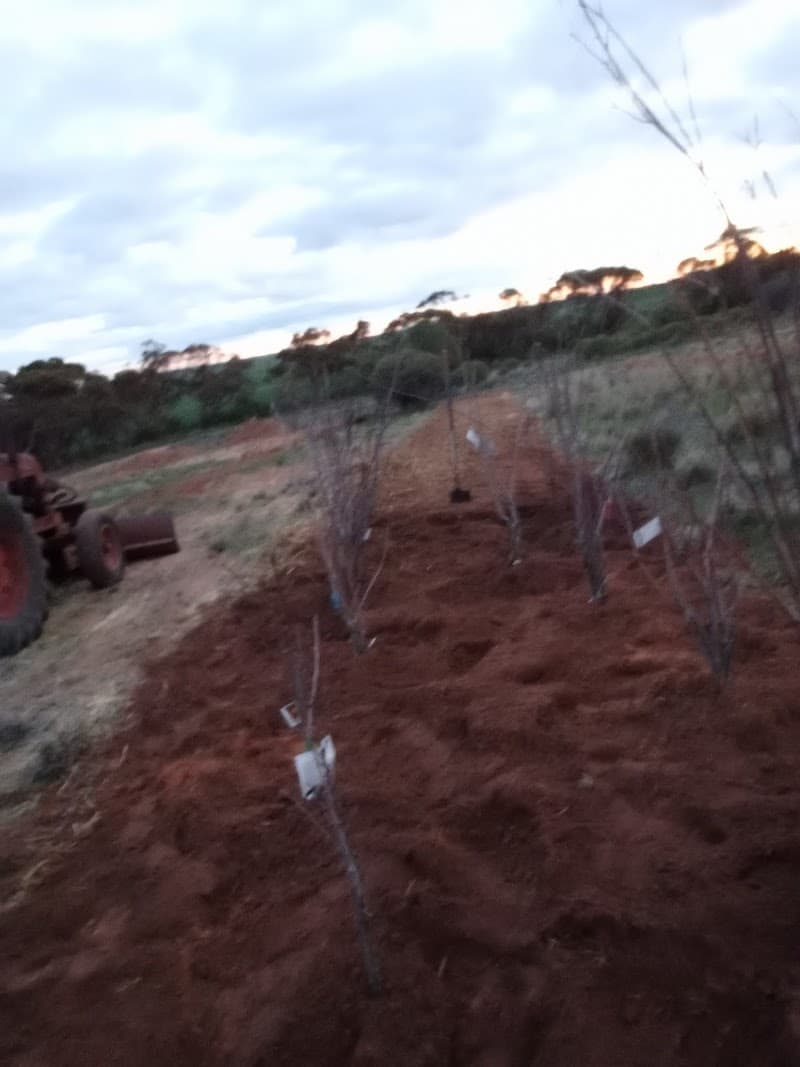 Shepherds Orchard & Nursery in Tuerong, VIC