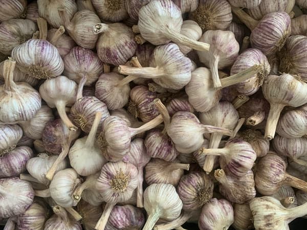 Beechworth Natural Farm in 13 Kibell Ln, VIC