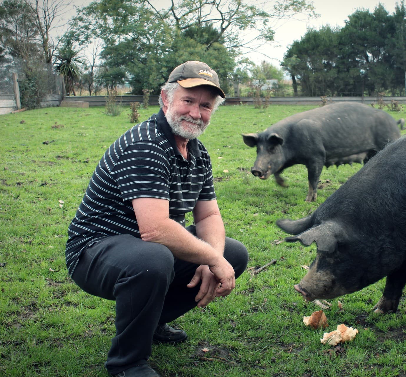 Wattle View Farm in Jack River, VIC