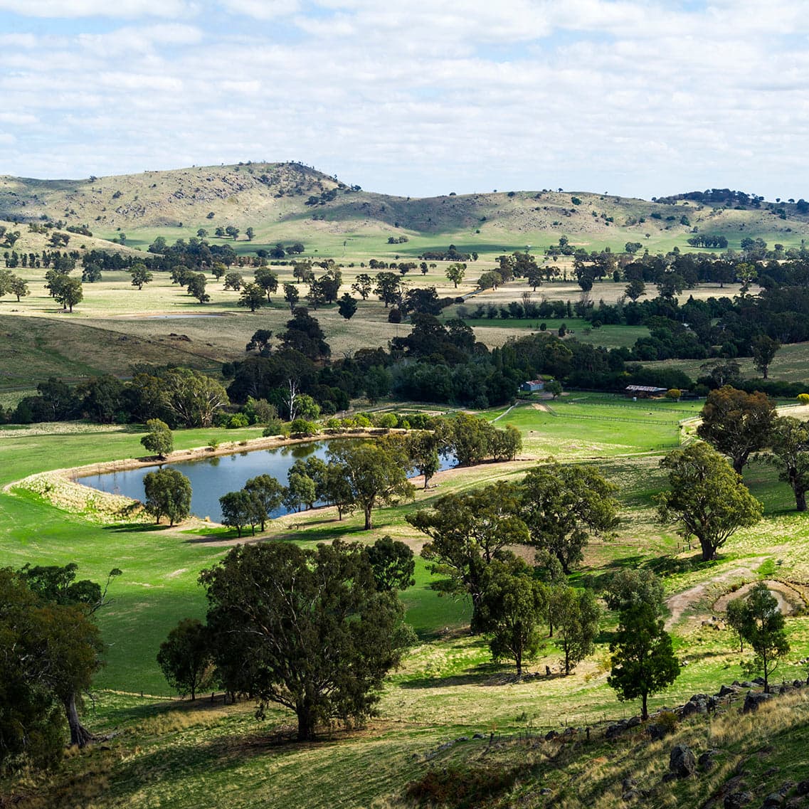 Faithfulls Creek & Co in Euroa, VIC