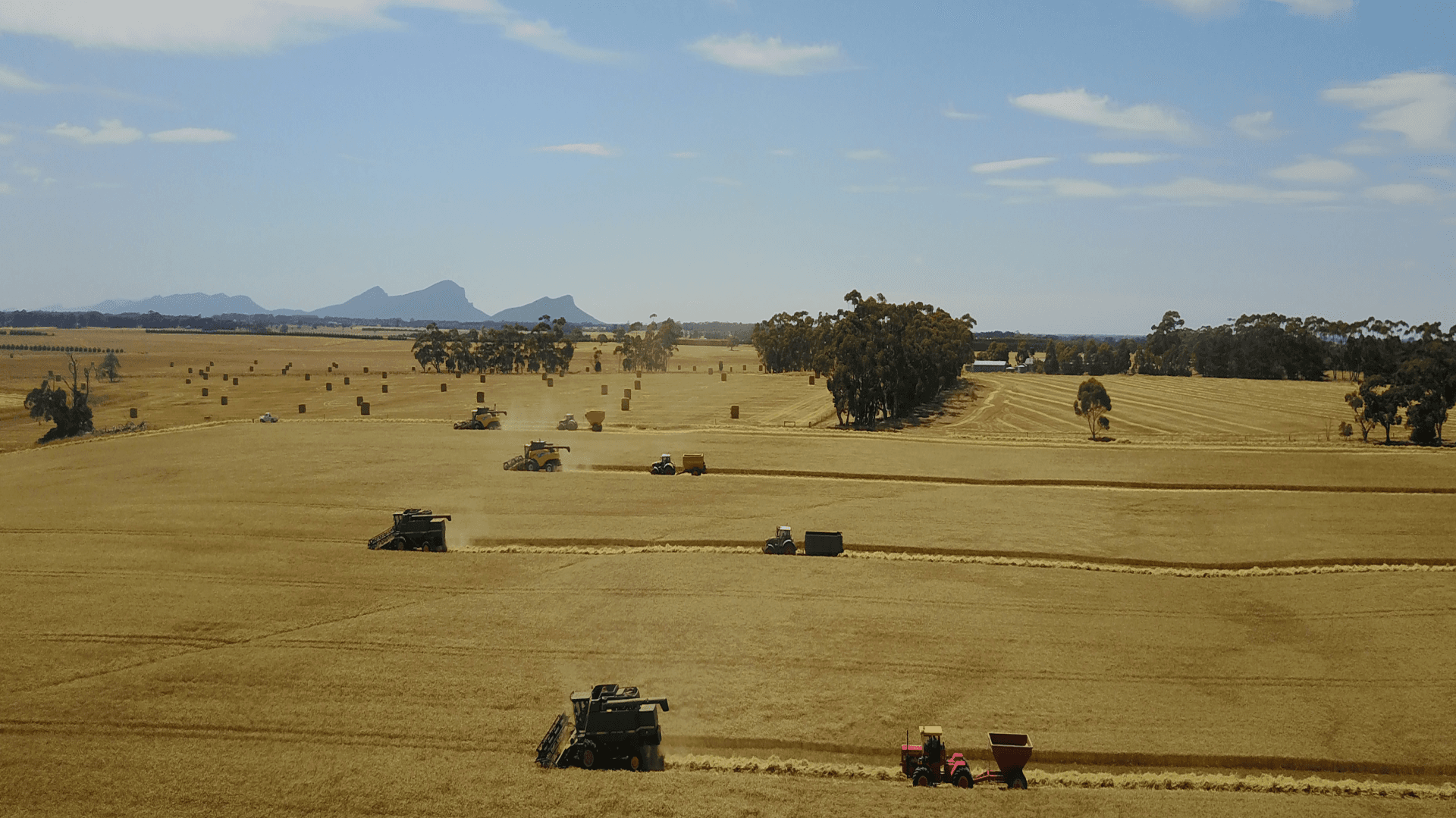 Waltanna Foods Pty Ltd (Waltanna Farms) in Hamilton, VIC