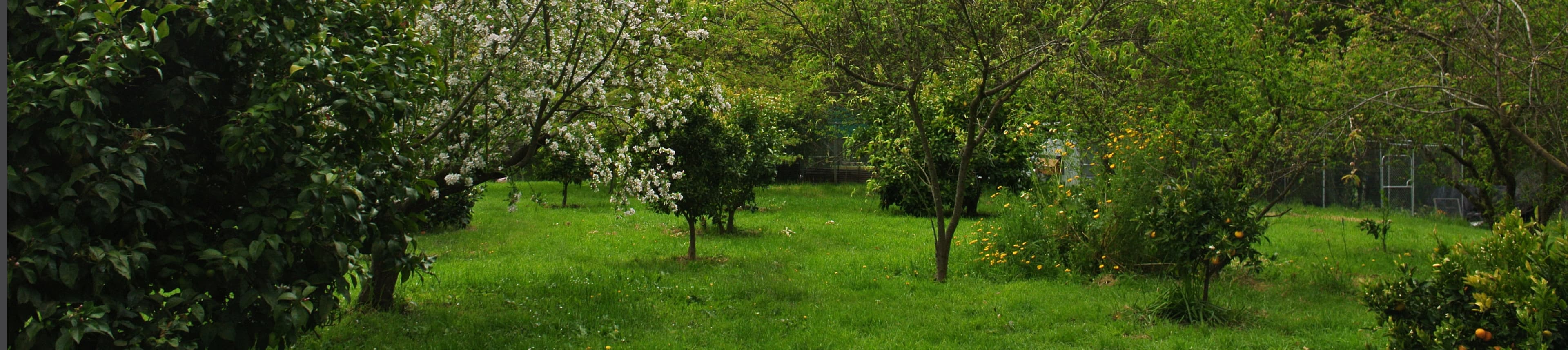 Grand Ridge Organics in Allambee South, VIC