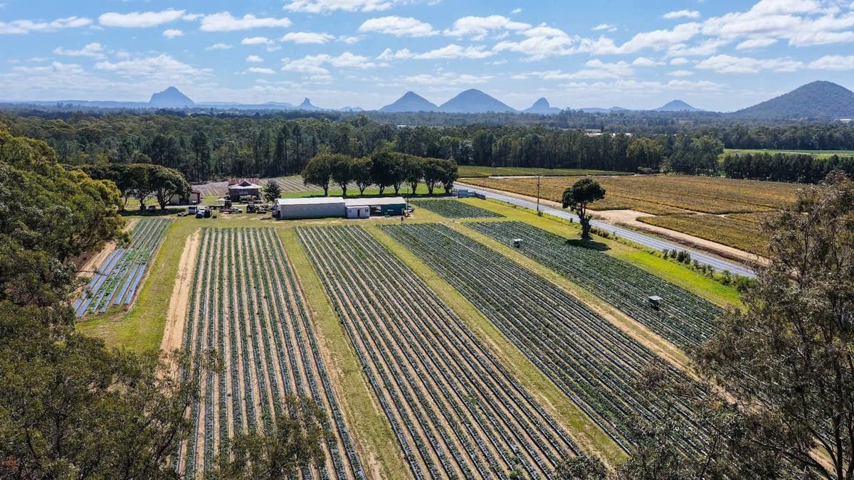 Wamuran Pick Your Own Farm / Sweet Acres in Wamuran, QLD