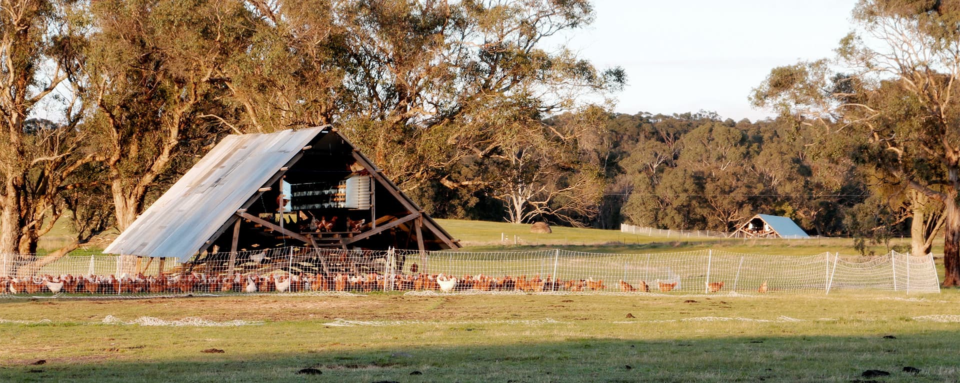 Taranaki Farm in Woodend, VIC