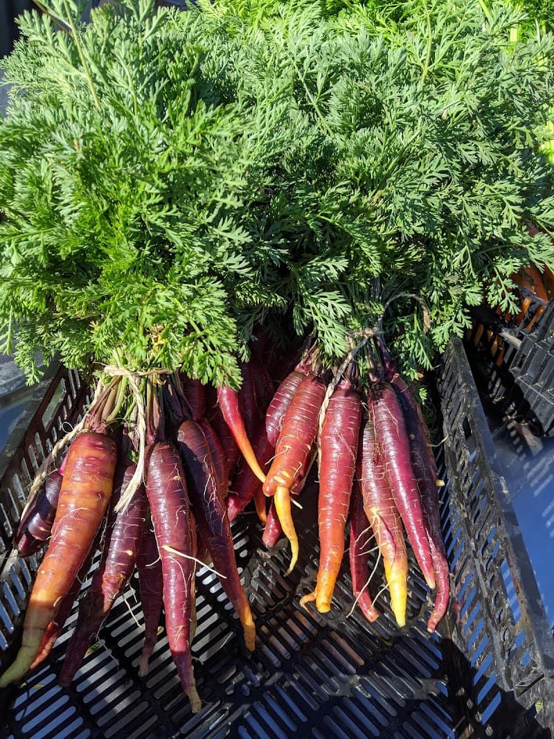 Volcano Produce in Illowa, VIC