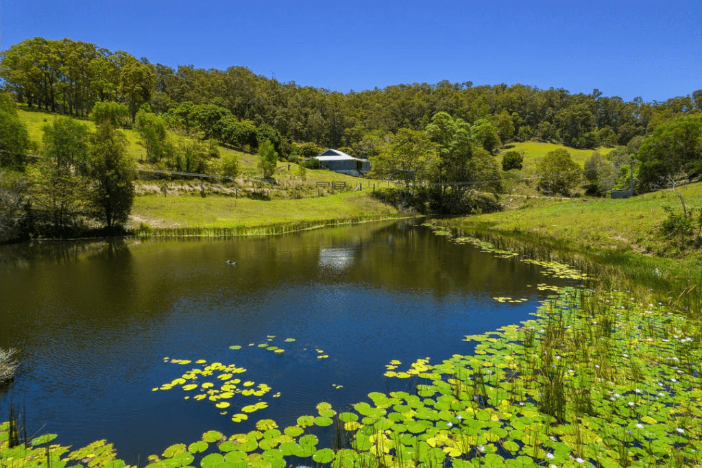 Hinterland Hideaway FarmStay in Wilsons Pocket, QLD