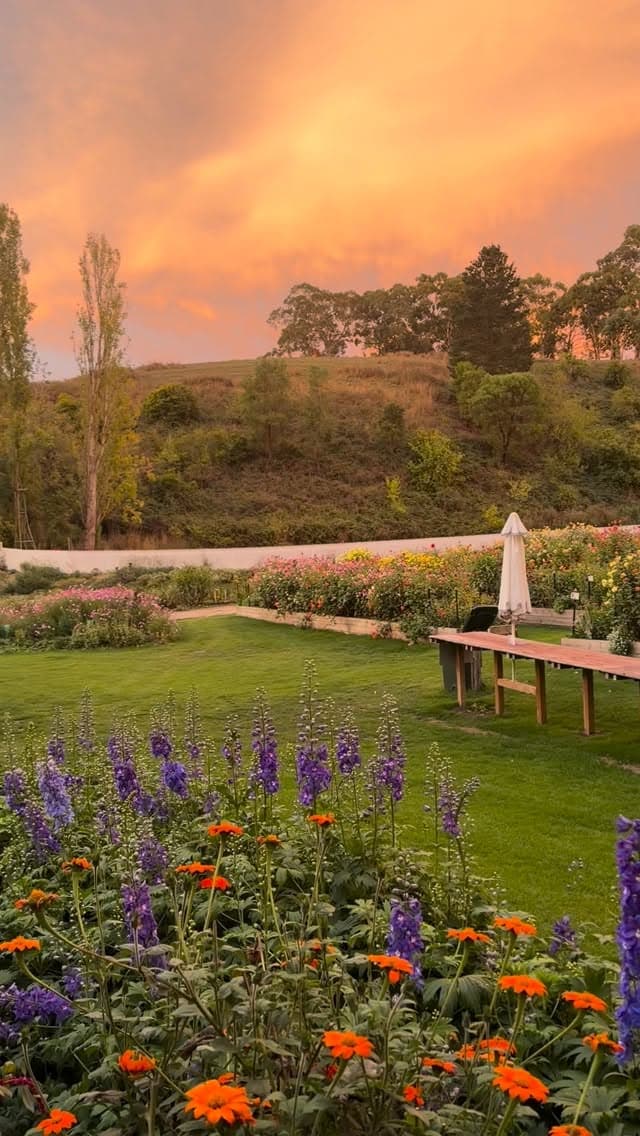 Hahndorf Flower Farm in Paechtown, SA