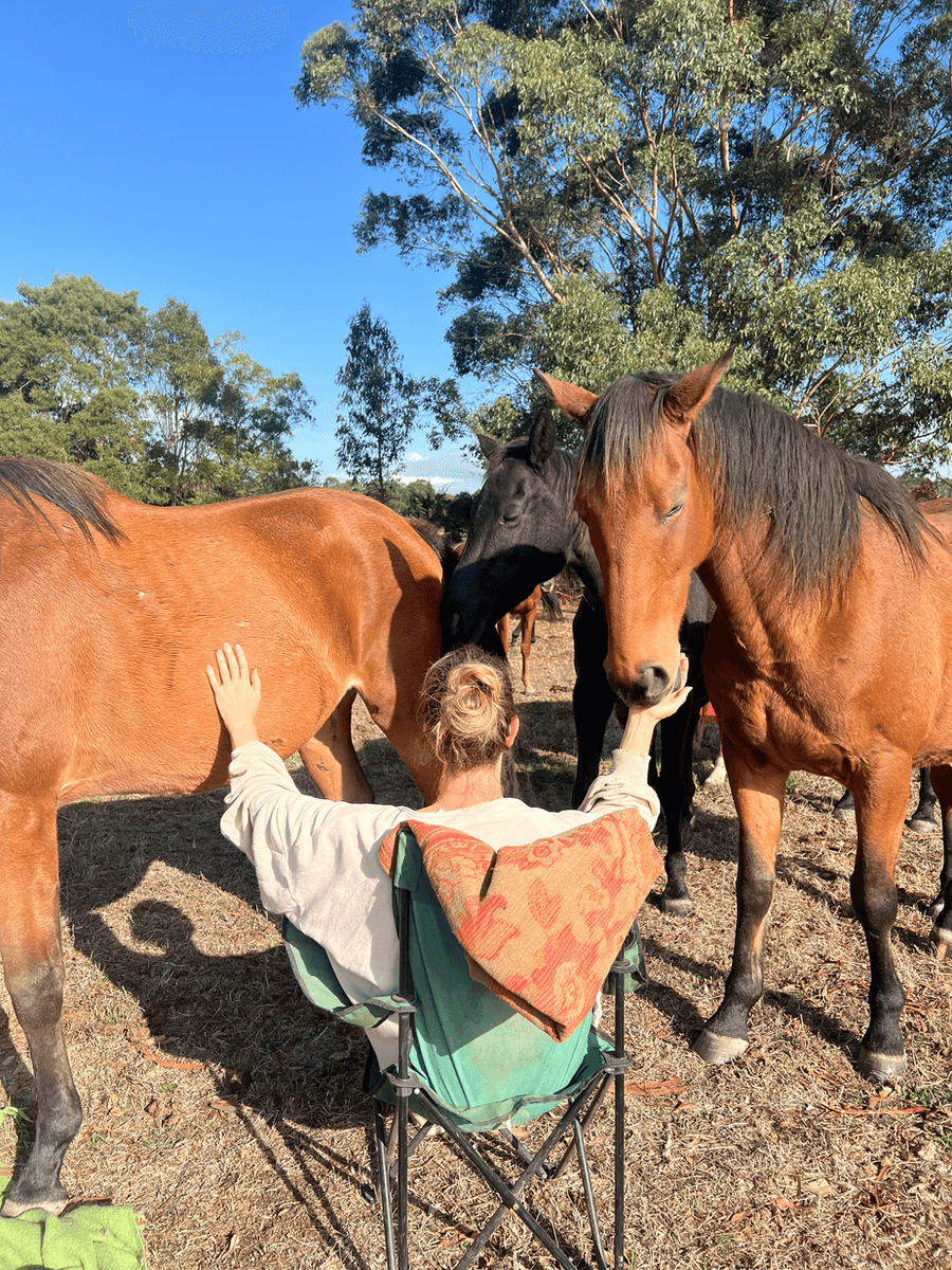 Wattle Bank Farm in Wattle Bank, VIC