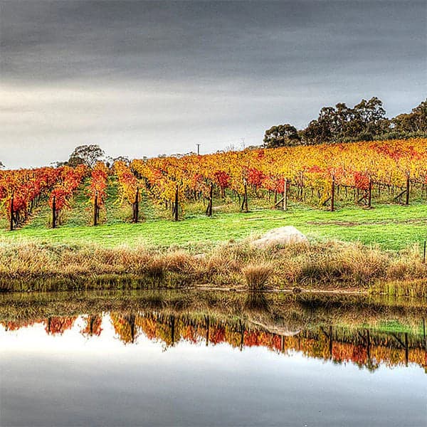 BlackJack Wines in Harcourt, VIC