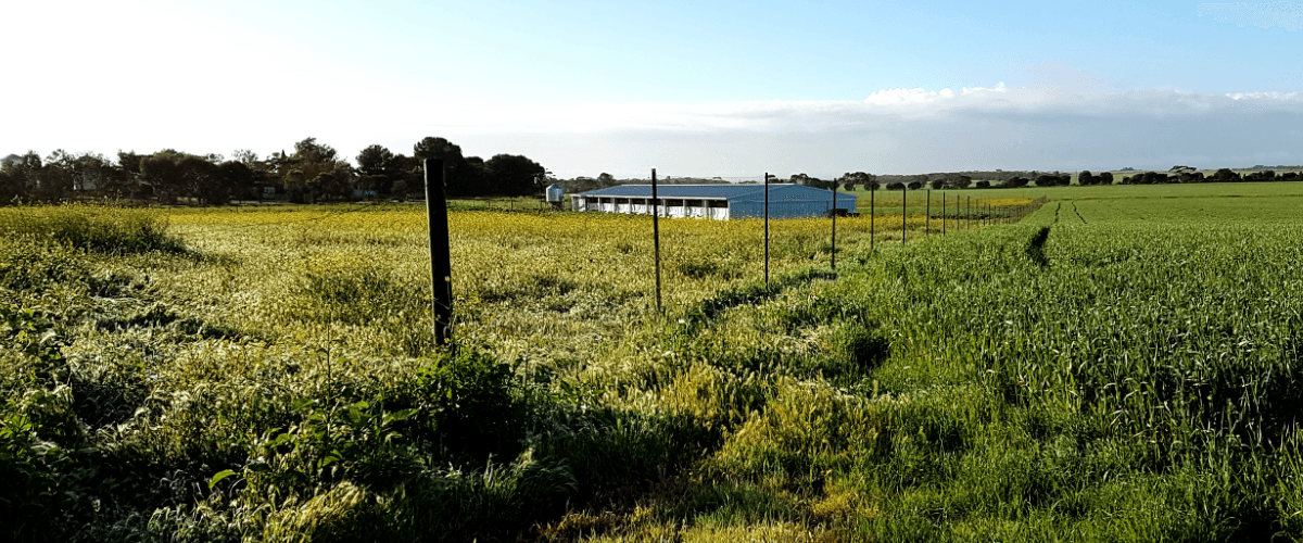 The Fresh Egg Shop in Klemzig, SA
