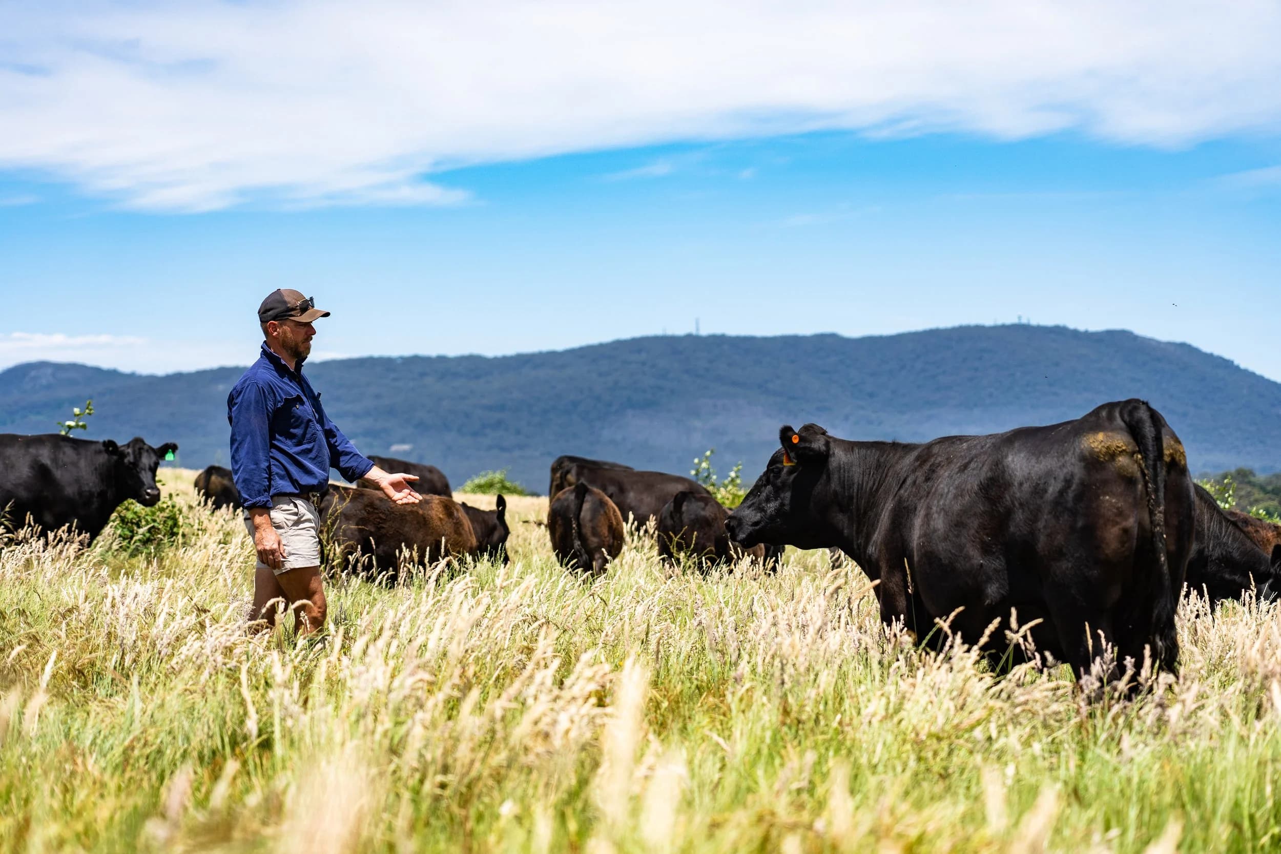 Regenerative Farms Australia in Woodend North, VIC